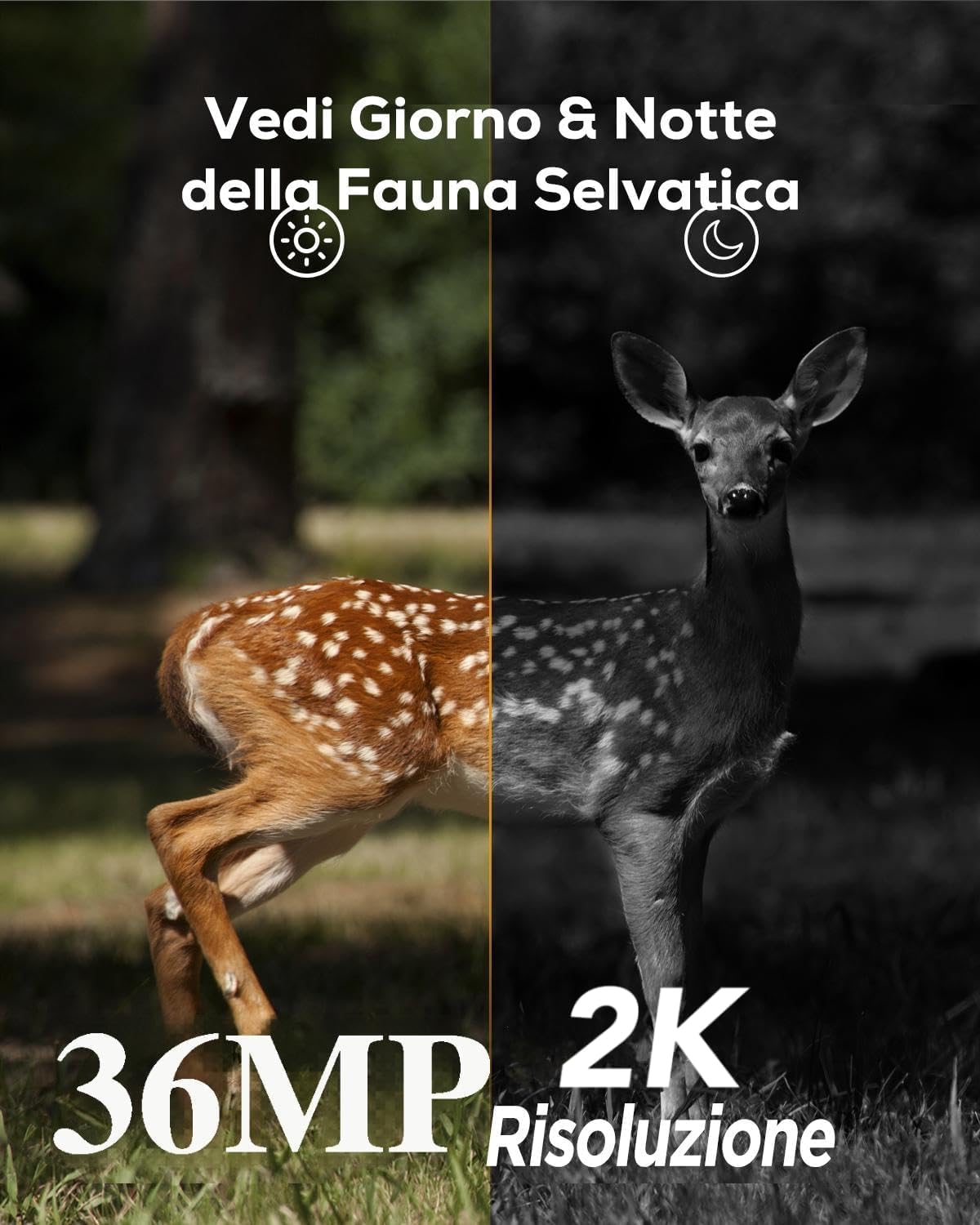 iZEEKER Fototrappola 2K 36MP HD con LED a Infrarossi Invisibili 940nm