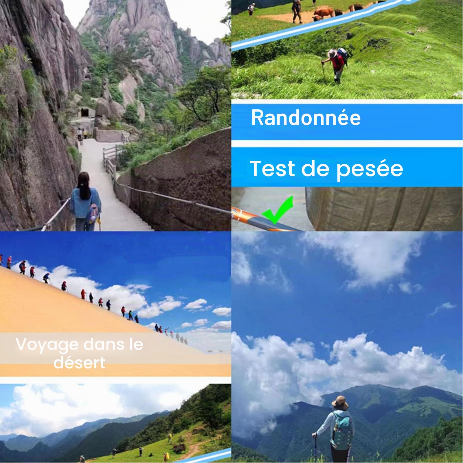 Bâtons De Marche,ndonnée Rétractable Réglable Canne De Marche