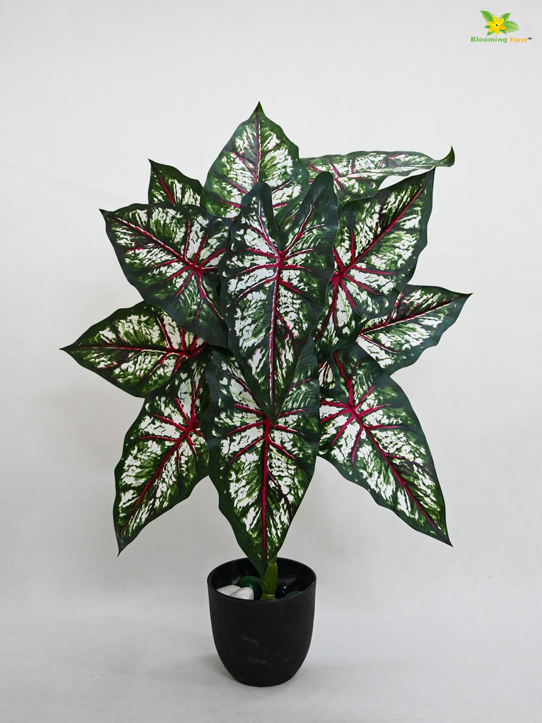 Blooming Floret Artificial Tropical Caladium Plant | 12 Leaves | with Basic Black Pot | 78.7 cm Tall Ornamental Plant for Interior Decor/Home Decor/Office Decor | Big Indoor Plant | Durable (B0D4QWZC4R) Amazon Price History, Amazon Price Tracker
