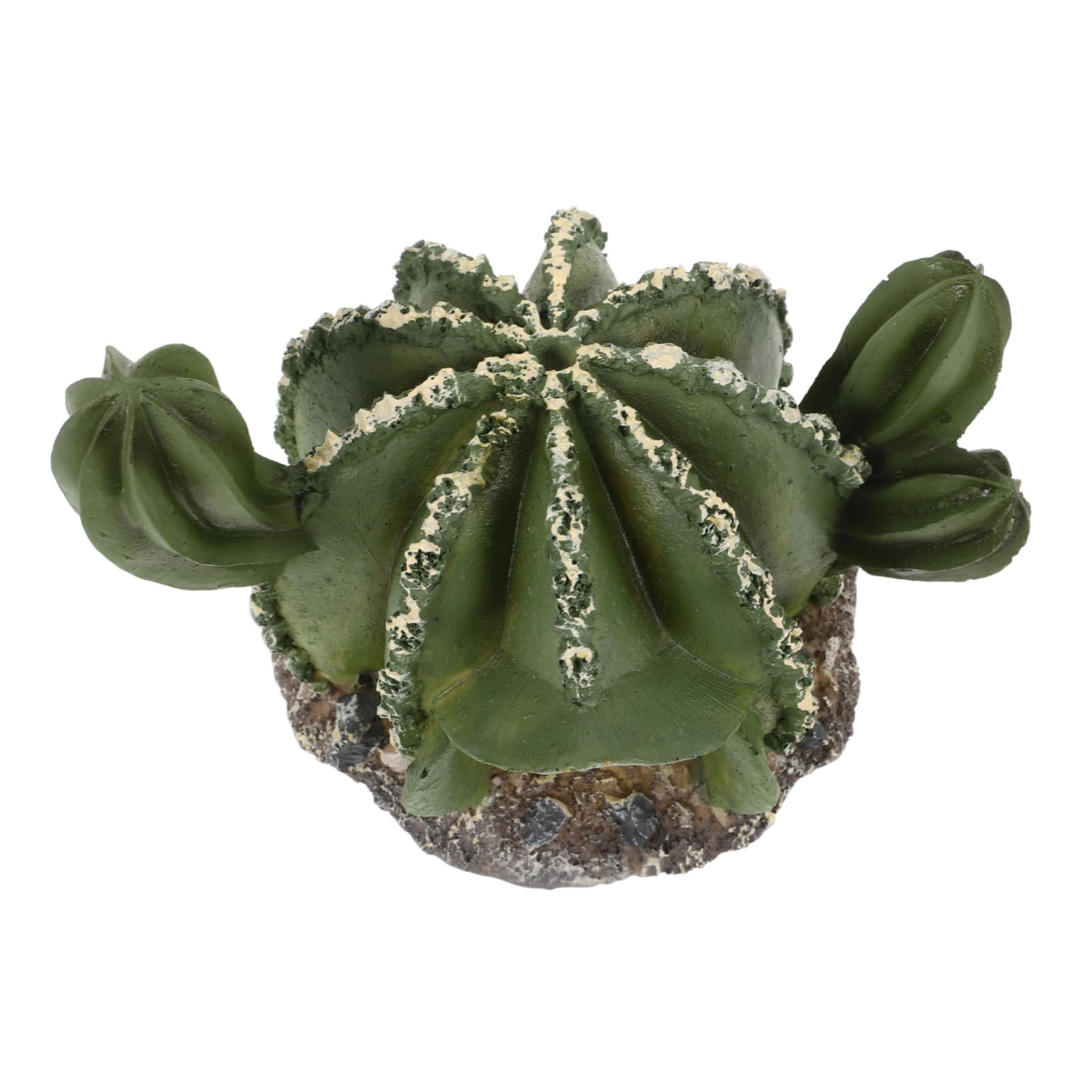 BESPORTBLE 4piezas Cueva Oculta De Cactus para Reptiles Refugio Decorativo De para y Serpientes Multiusos para Terrario y Hábitat Natural