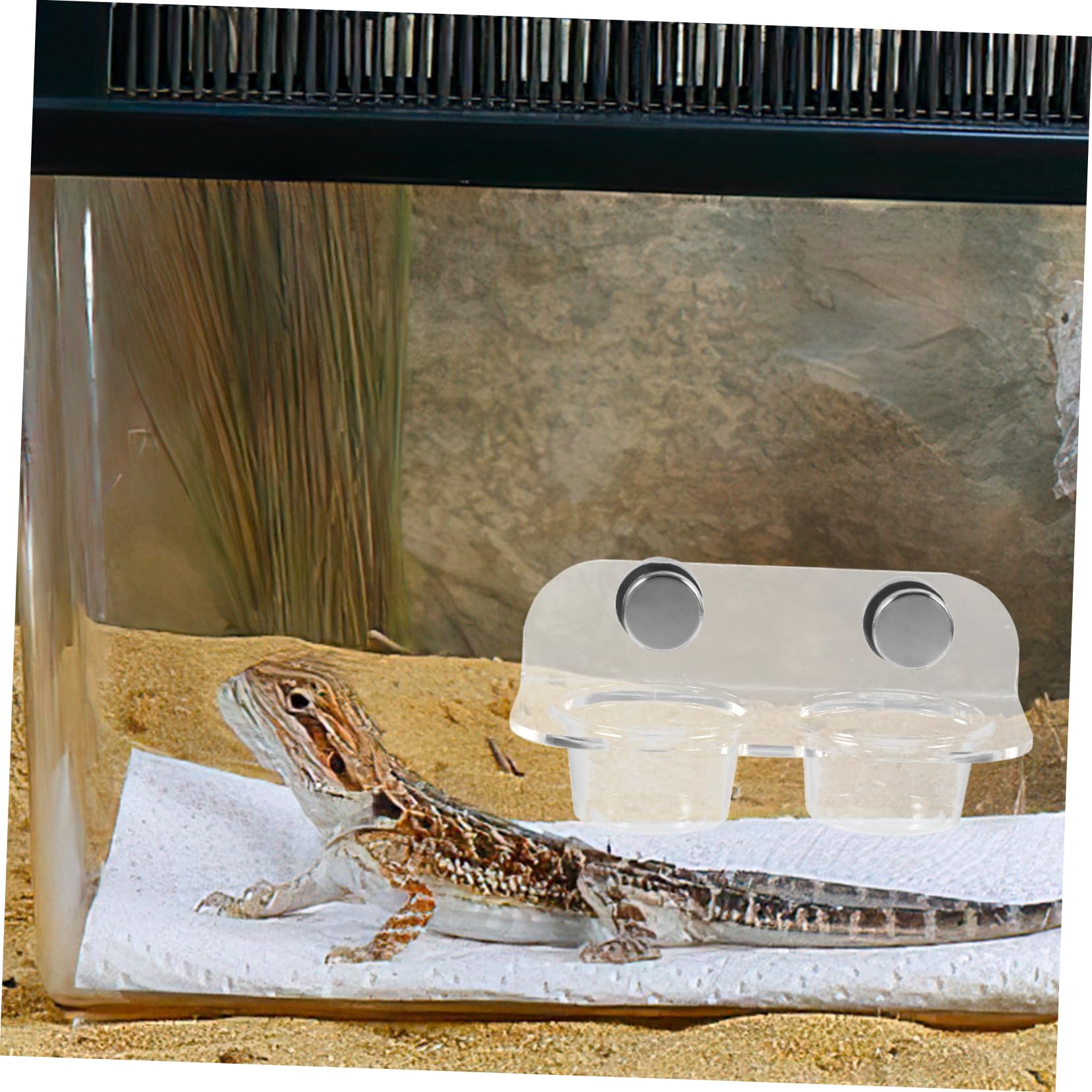 BESPORTBLE 4juegos Tazón Magnético para Reptiles Base Antideslizante Comedero y Bebedero para Lagartos y Tortugas Fácil De Limpiar y Duradero