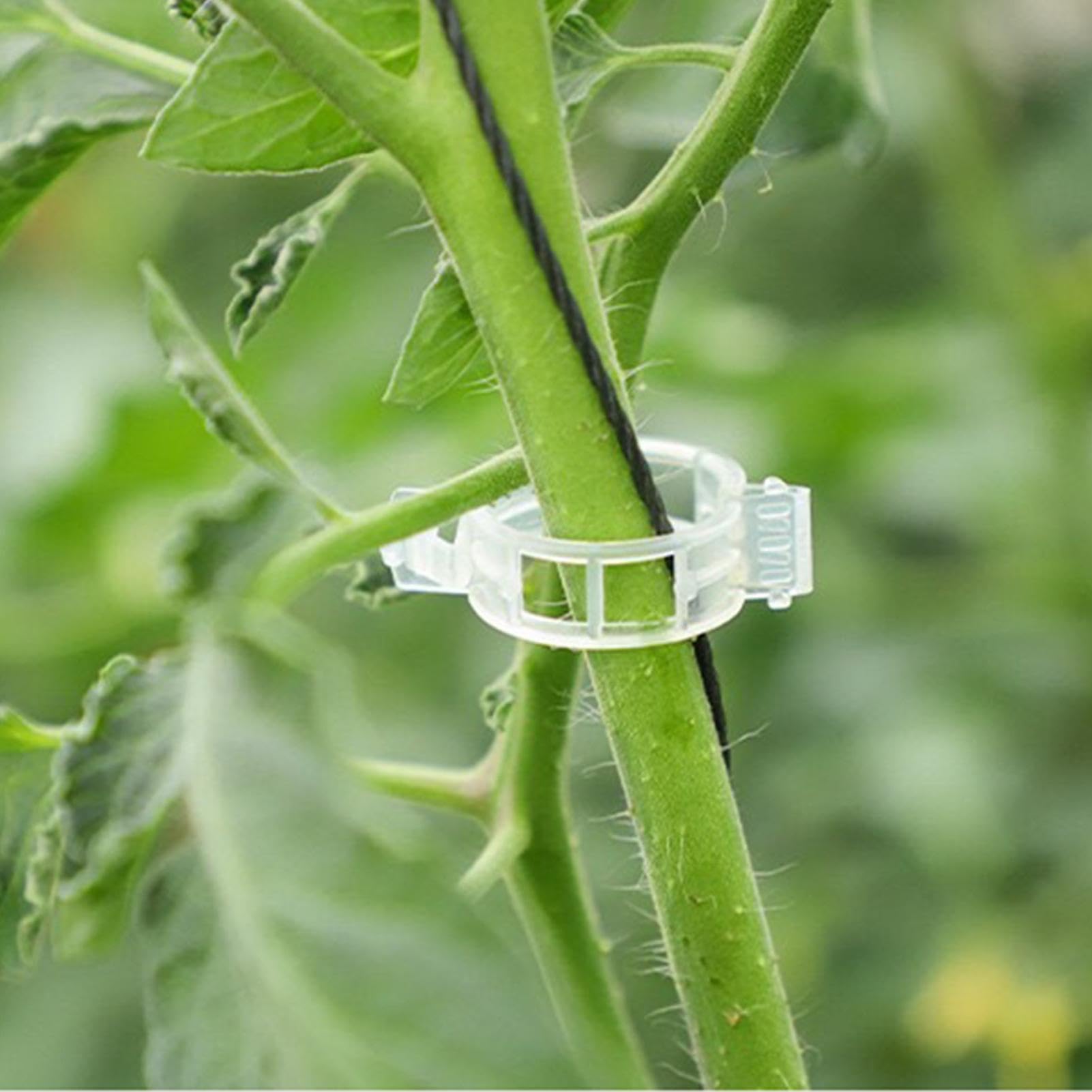 Attaches de Jardin, Clips de Support for Plantes Jardin, 300 pièces, Blanc, Vert, for tiges Vigne(Wit)