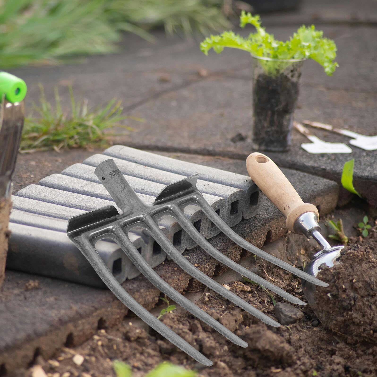 Forca da Giardino in Acciaio Argento 5 o 6 Denti per Lavorazione del Terreno e Sarchiatura, Resistente e Versatile per Orto e Attività Agricole