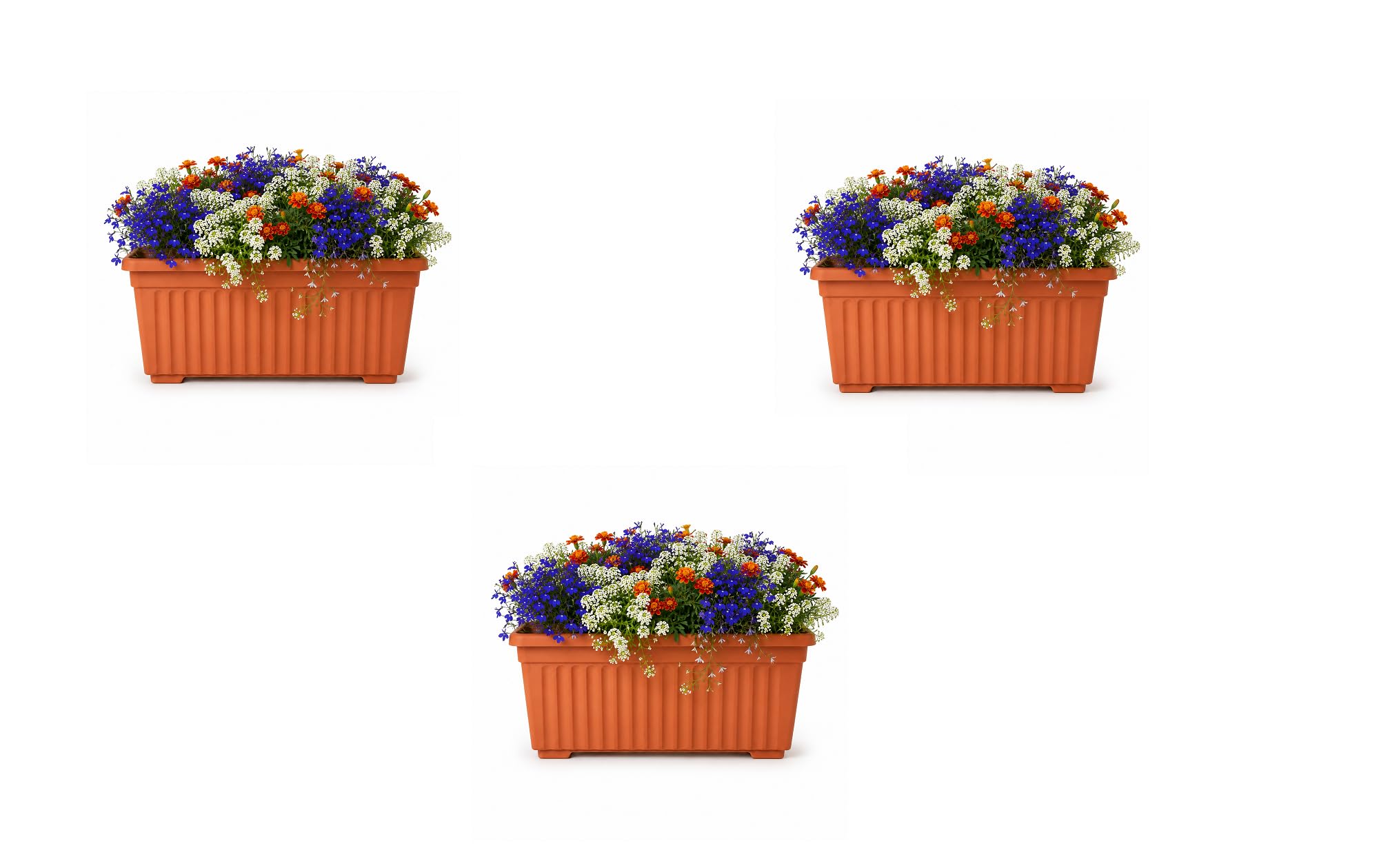 ORYNTO 55cm Rectangular Trough Black Plant Pots Outdoor Garden Plastic Planters Window Box Flower Herb Vegetables Plant Pots with Optional Drainage Holes Perfect Large Planter Pots (3 Pack,Terracotta)