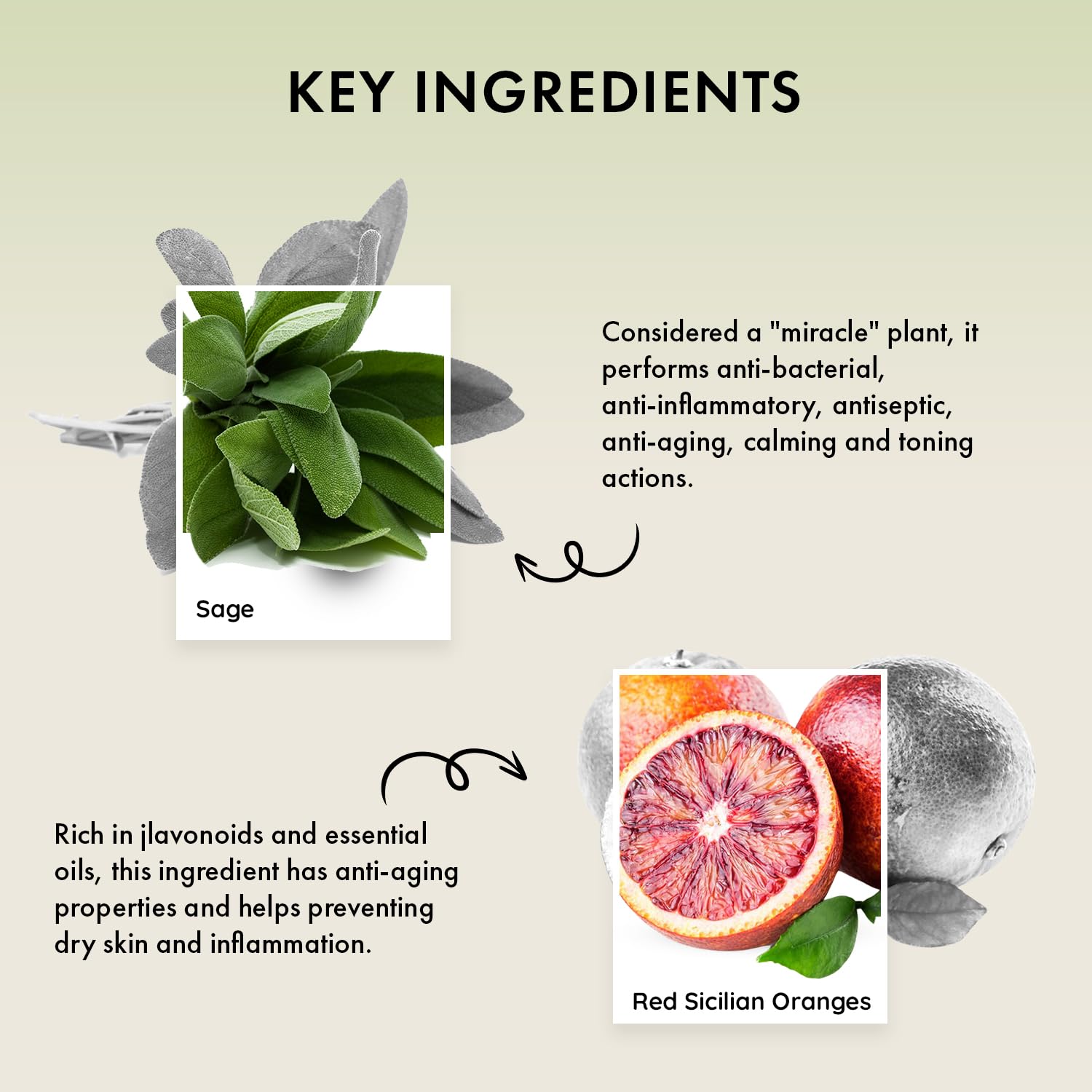 Diwali Sale Naturica Soothing Shampoo Sensitive And Dandruff Prone Hair And Scalp With Red Sicilian Orange, Sage And Thyme Extracts - 250Ml