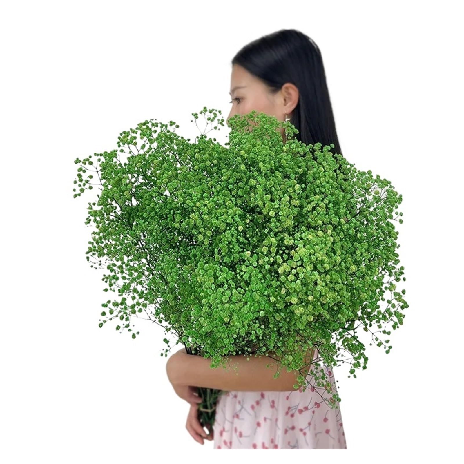 WJIAYAO dried gypsophila flowers Dried Baby Breath Flowers Gypsophila Bouquet Bridal Wedding Decoration Home Decor(Green,80g)
