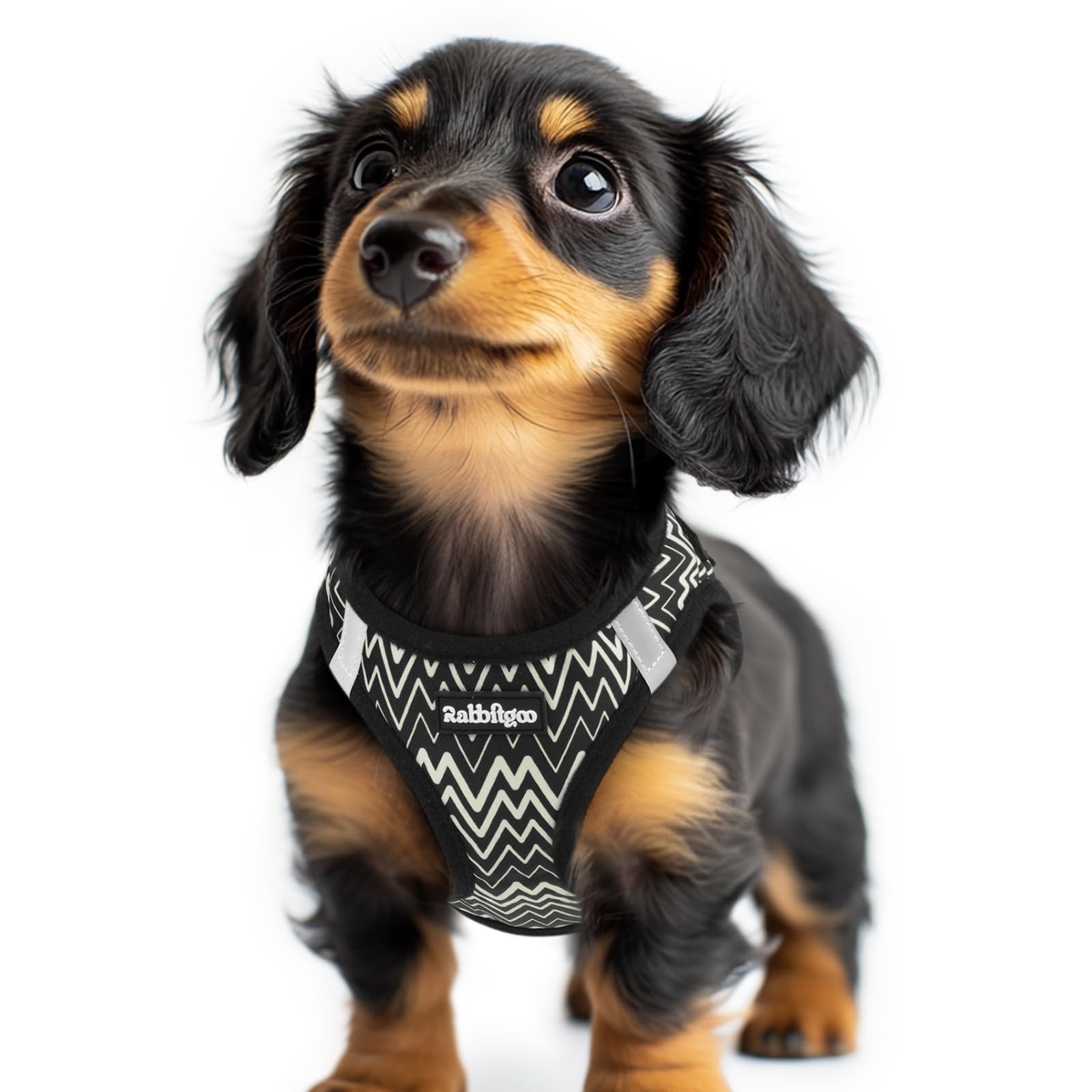 rabbitgoo Hundegeschirr kleine Hunde, Step-in Soft Mesh Hundegeschirr mit Sicherheitsverschluss, atmungsaktives und reflektierendes Welpengeschirr für kleine Hunde