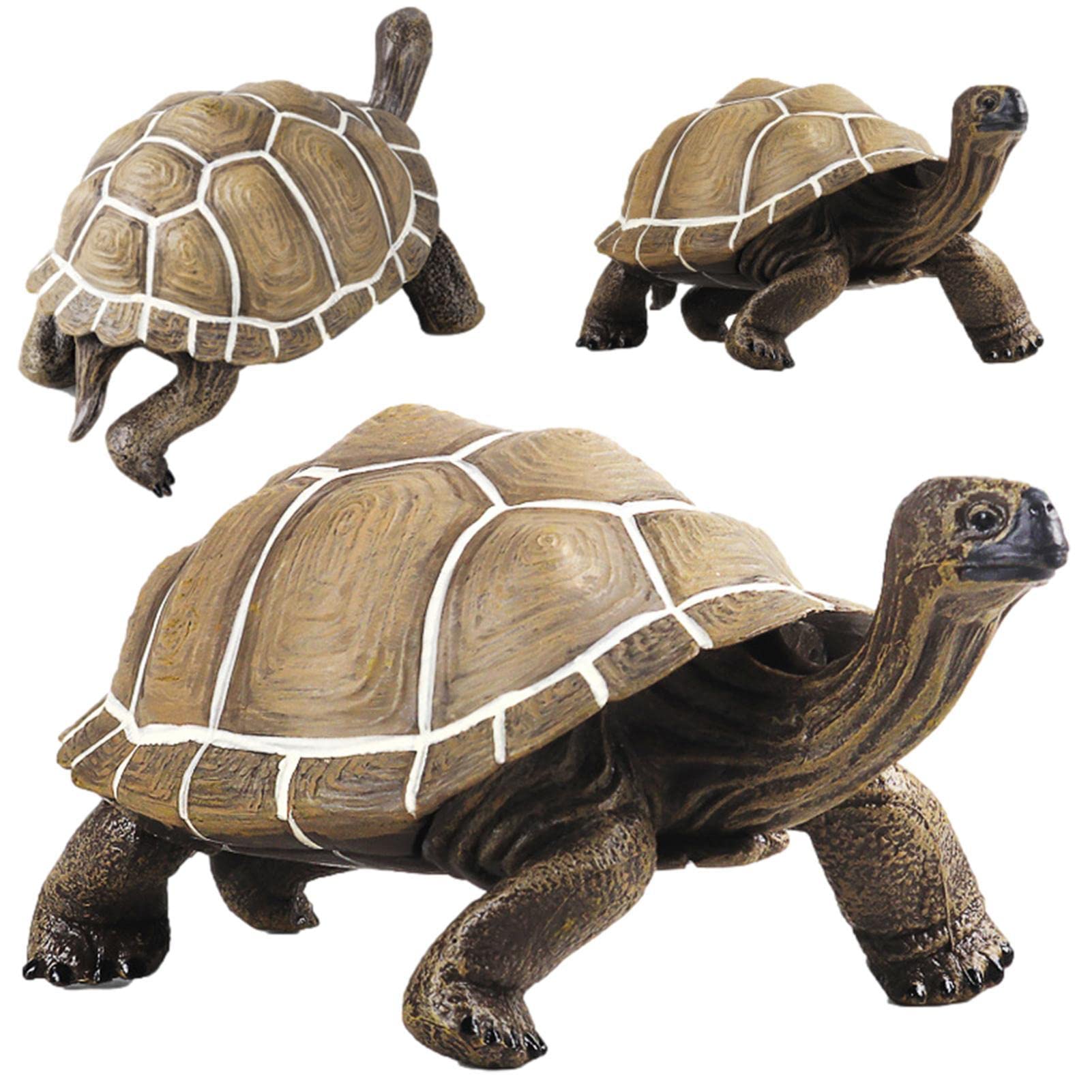 Amazon.co.jp: 亀の置物,大きな亀の庭の像 | 庭、芝生の装飾のための