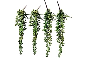 Supla Artificial Donkey Tail Plant