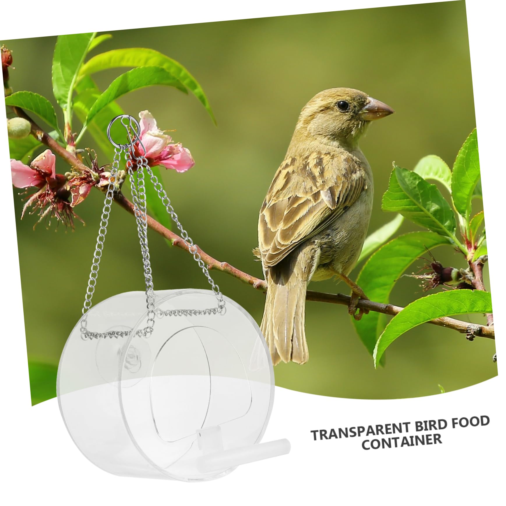 Toddmomy 2piezas Comedero Colgante para Aves De Acrílico Transparente Alimentador De Mascotas para Periquitos y Loros Diseño Práctico y Fácil De Limpiar