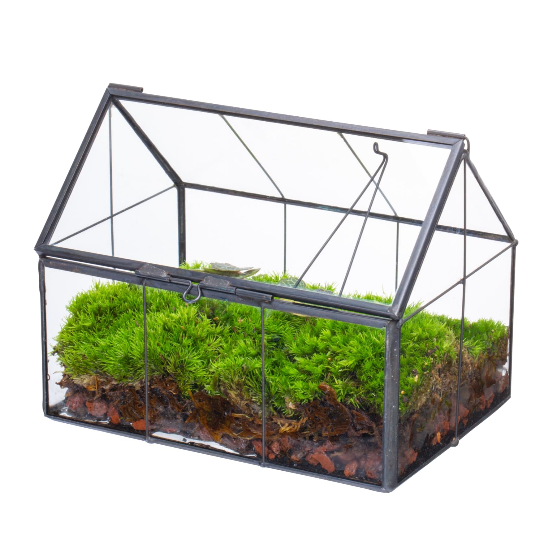 NCYP Mini Glass Terrarium with Lid