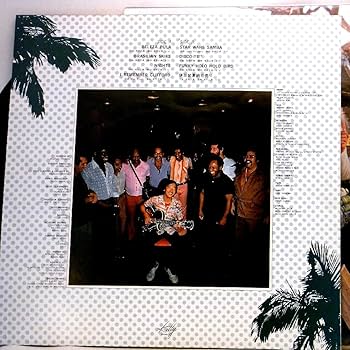 Amazon.co.jp: ブラジリアン・スカイズ【LP】: ミュージック