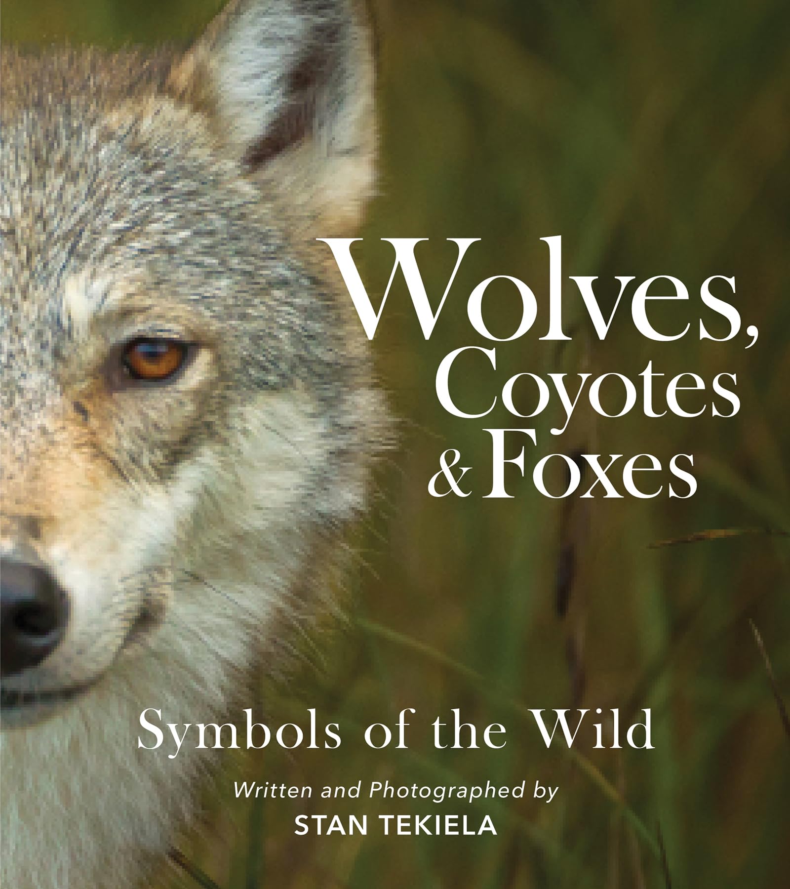 Amazon.com: Wolves, Coyotes & Foxes: Symbols of the Wild (Favorite