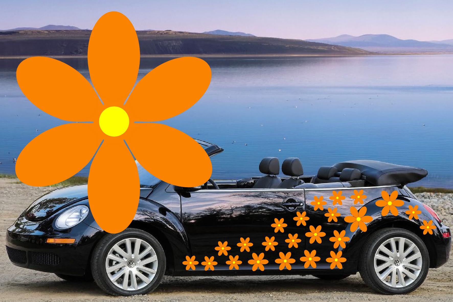 32 Orange & Yellow Six Petal Daisy Flower Decals, car Decal Flower Graphics, Camper Van Sticker Decals, car Stickers in 3 Sizes by TEEZ