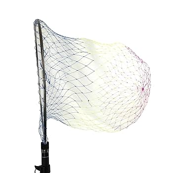 Amazon | RISEWAY(ライズウェイ) 玉の柄 磯玉の柄EX 450