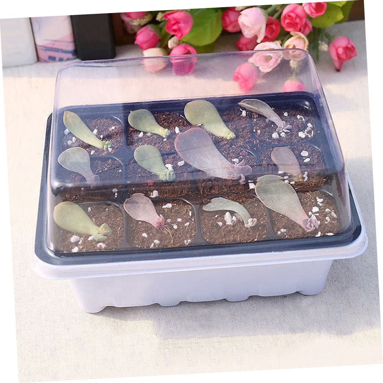PartyKindom 2 Ensembles Boîte À Semis Plantes pour Plateaux Usine Entrée Bac De Culture Box De Culture Plateau De Pépinière De Légumes Plantant des Conteneurs Plastique 6 Pièces * 2