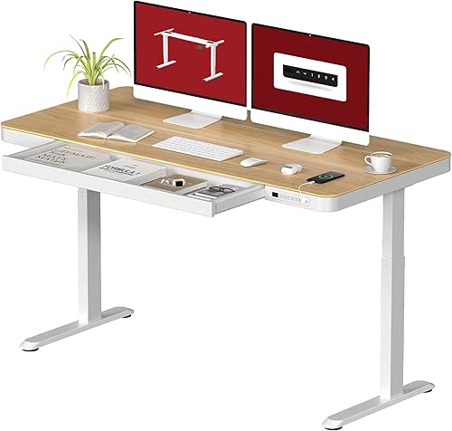 Standing Desk with Drawer, Electric Height Adjustable Home Office Desk