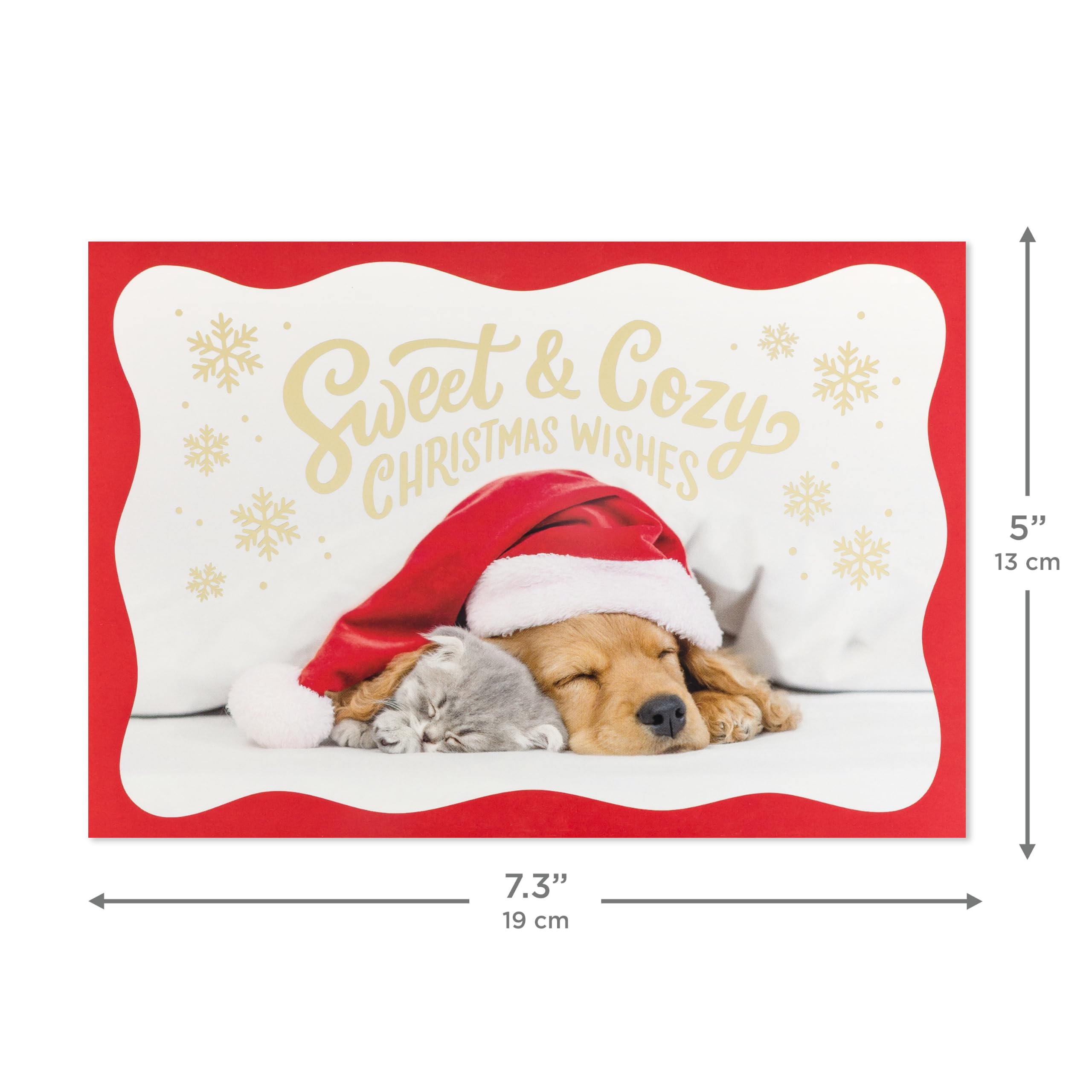 Hallmark Tarjetas de Navidad, paquete de 40 (dulce y acogedor, cachorro, gatito)