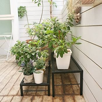 Amazon.co.jp: ルームアンドホーム フラワースタンド 観葉植物