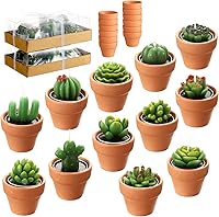 Vista 9 de 12 Piezas Velas de Suculentas Novedosas Hechas a Mano Velas de Té de Cactus Delicadas y con Estilo Velas de Plantas Mini Velas de Cactus