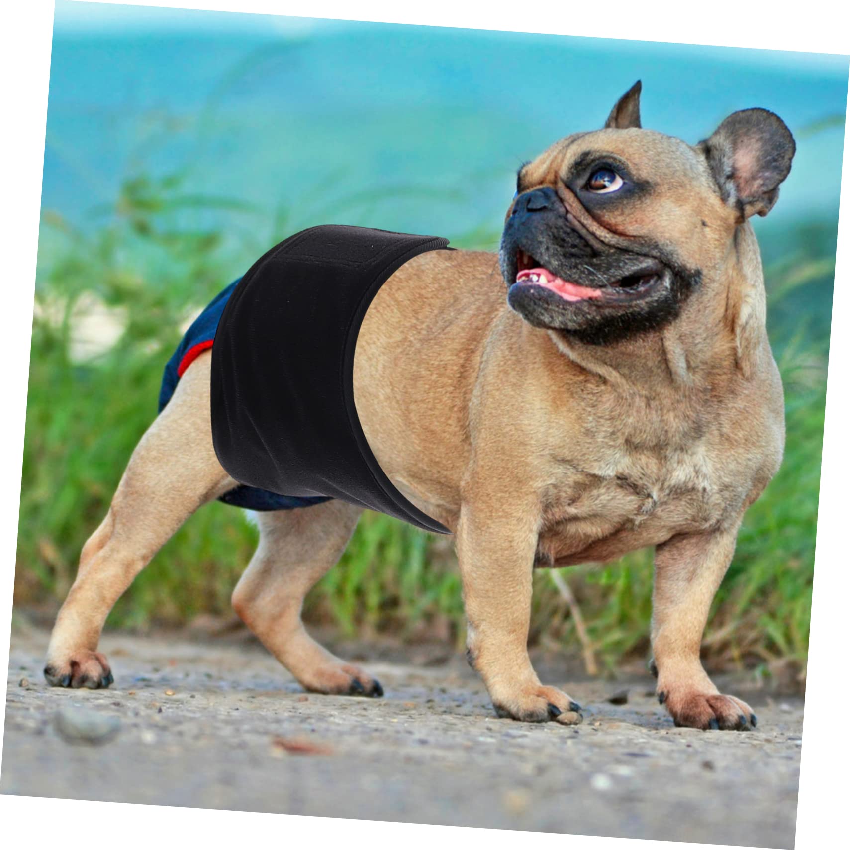 INOOMP 3pezzi Pannolino Riutilizzabile Per Cani Maschi Fascia Addominale Lavabile Protezione Contro Perdite Per Uso Domestico Design Comodo e Leggero Taglia Media