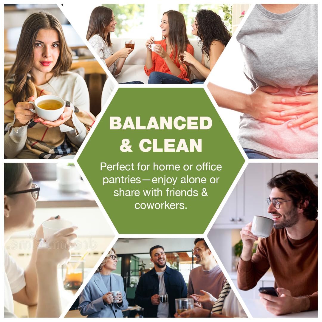 Blend Art Teas Green Tea β 40 Tea Bags | High Mountain Nilgiri Green Tea | Rich in Antioxidants | Natural Energy & Metabolism Support | Fresh & Light Flavor | 80g | Curated in India 3
