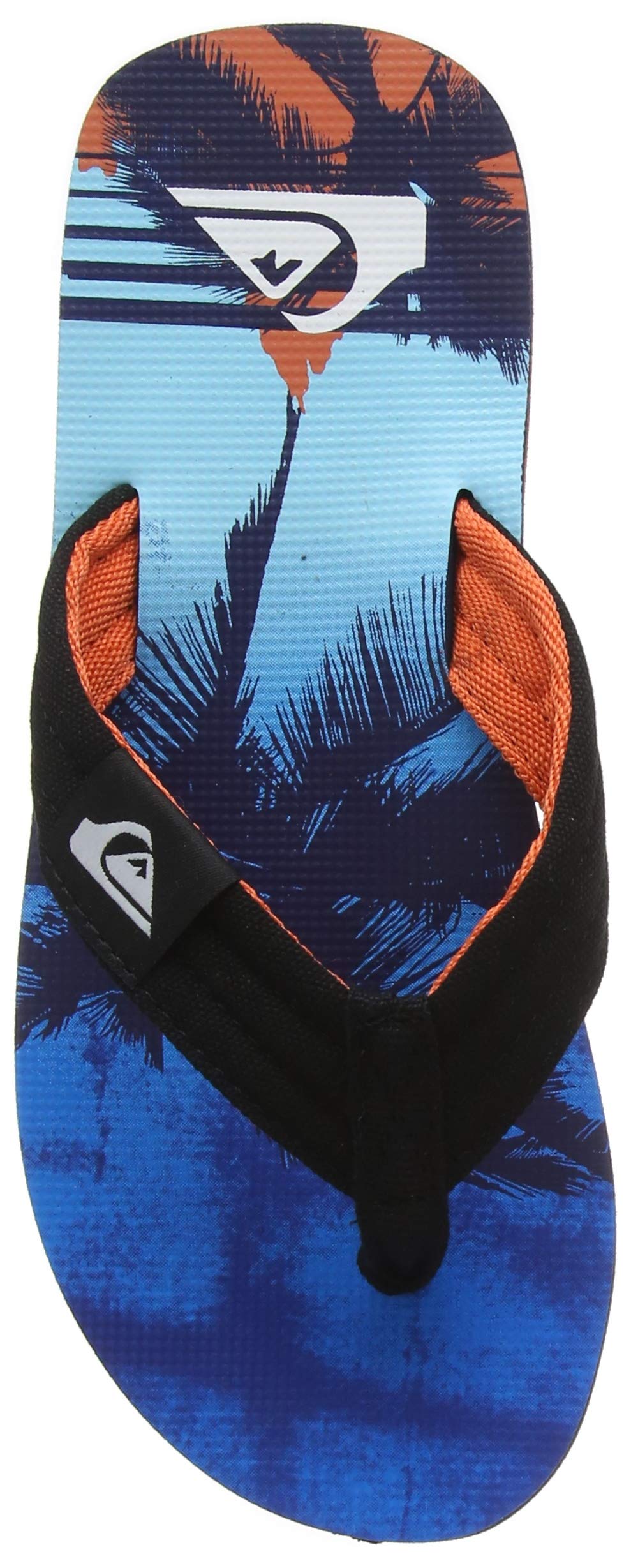 Quiksilver Men's Molokai Layback Beach & Pool Shoes