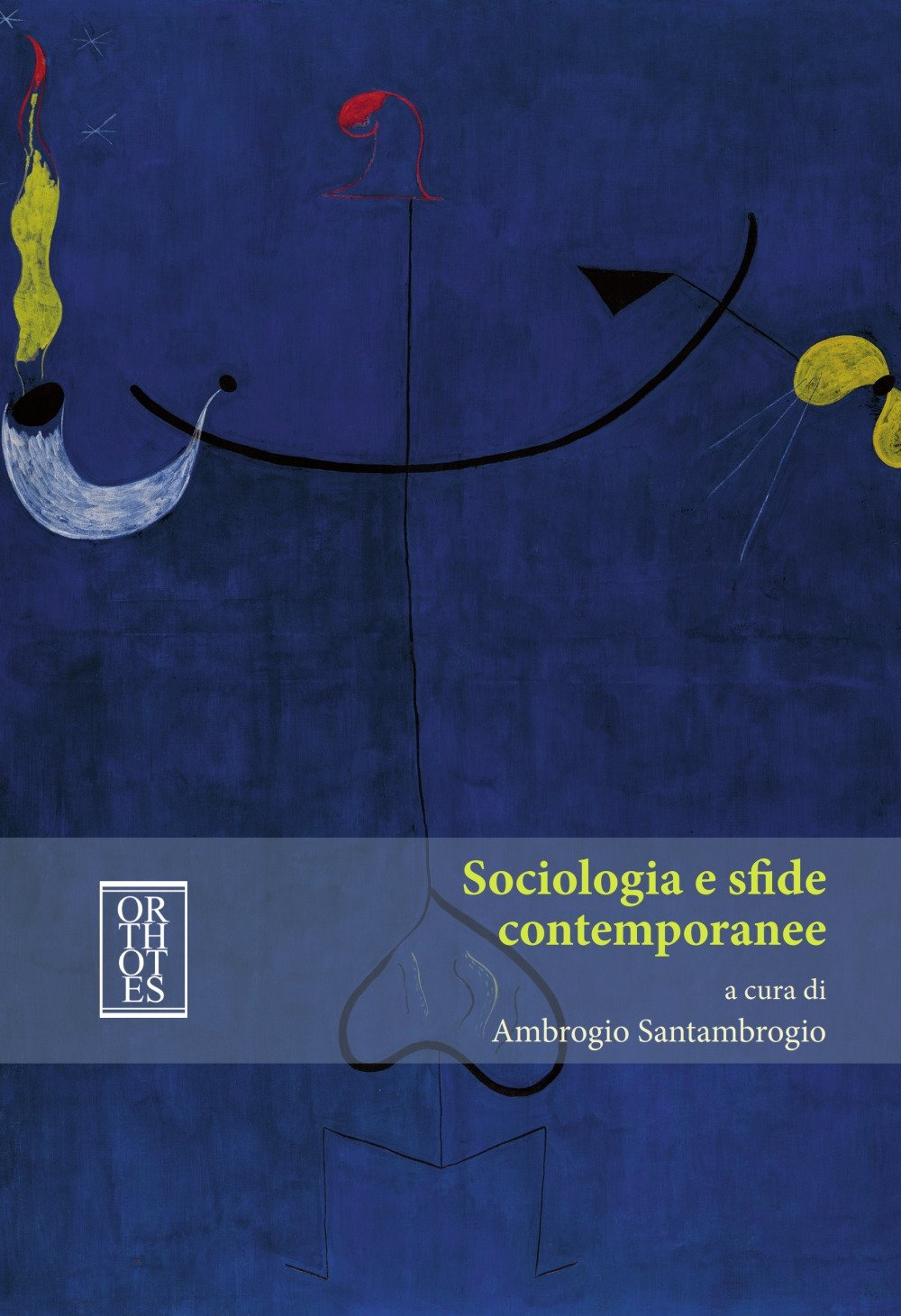 Sociologia E Sfide Contemporanee - 4