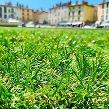 Gazon Synthétique 22mm en 2m de large (2 m de large x 7m de long)