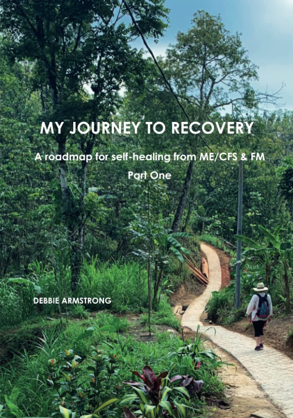 My Journey to Recovery Part One: A roadmap for self-healing from ME/CFS/FM: 1
