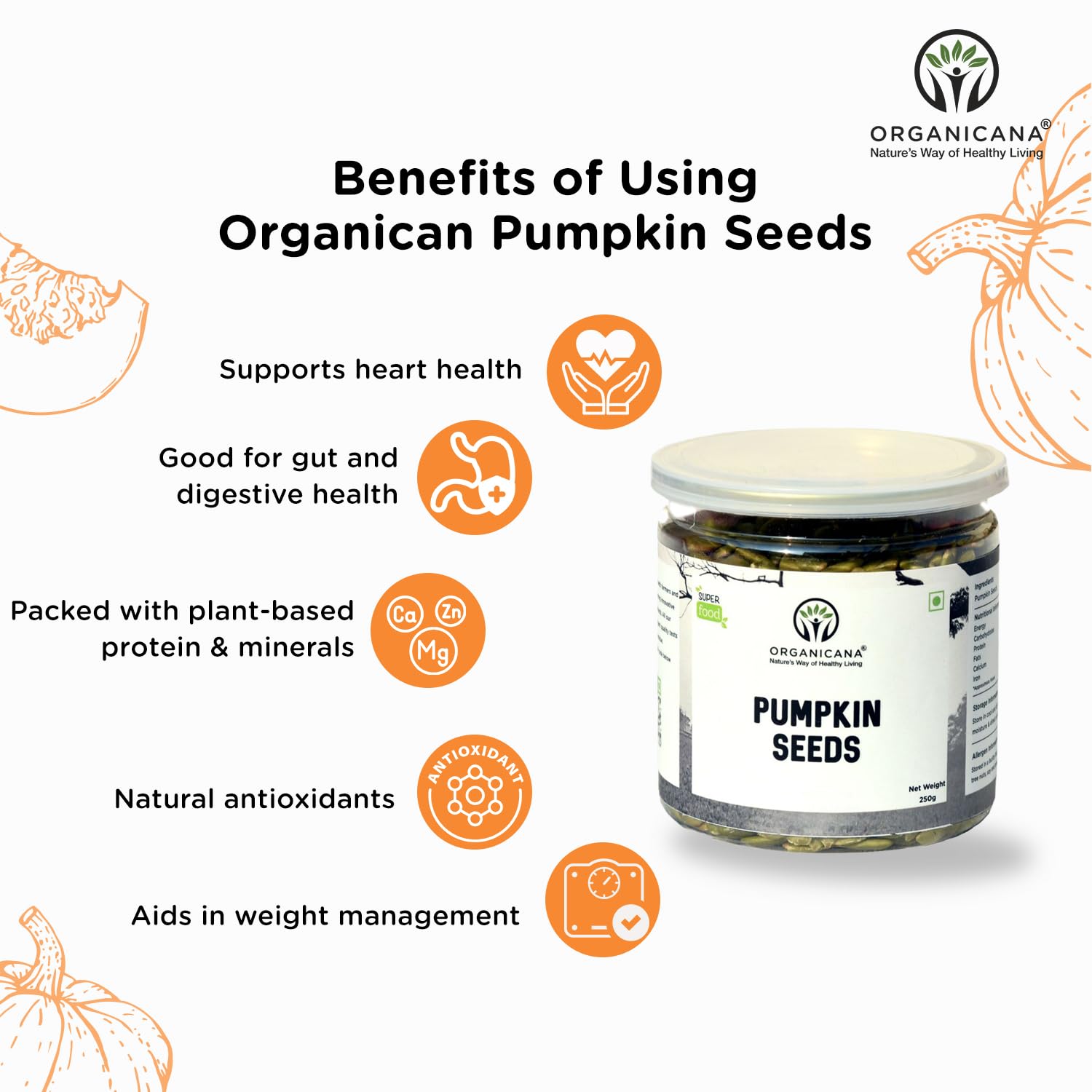 Organicana Pumpkin Seeds - 250g (Pack of 1) | AAA Grade Seeds for Eating | Premium Protein Rich Seeds | Immunity Booster | Healthy Diet Snacks | Weight Management | Rich in Fibre 2