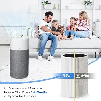 2 Pack 411/3210 Replacement Filter Compatible with Blueair Blue Pure 411 | Compatible with Blueair Blue Pure 411, Pure 411+, 411 Auto, Pure 3210 Air purifiers, H13 HEPA Filter, Activated Carbon System