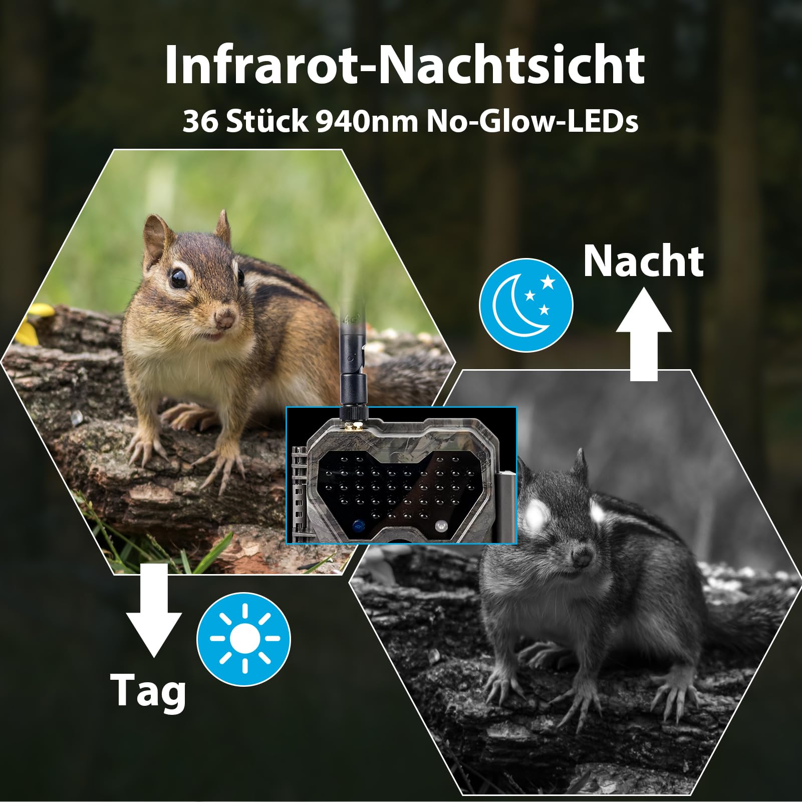 Meidase S970 4G LTE Wildkamera, 48MP 1296P, Mit Live Streaming Funktion, Nachtvision, 0.1s Bewegungsaktivierung, Wasserdicht, App Übertragung, GPS Ortung