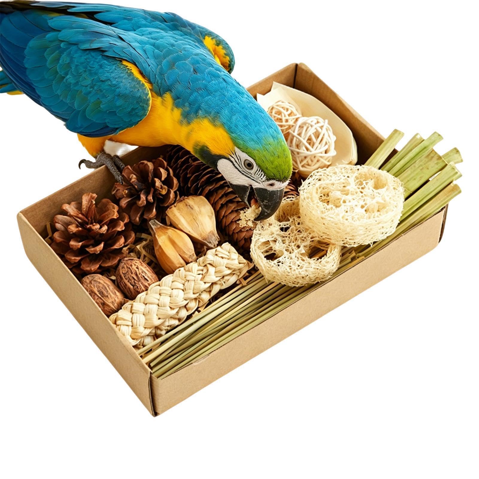 Cockatiel zabawki do żucia rozdrabnianie wzbogacanie pudełko
