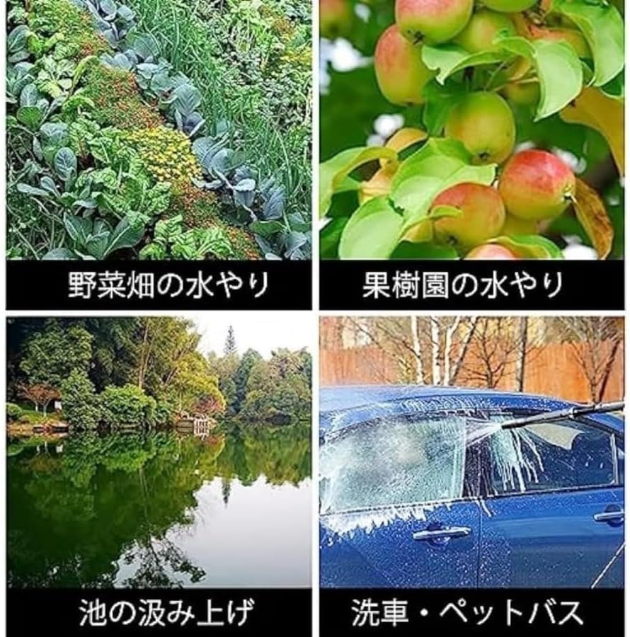 ArcticDeerポータブル充電式ポータブル充電給水排水ポンプワイヤレス小型ポンプホースフィルター付き、農作物水洗車ペット入浴農業