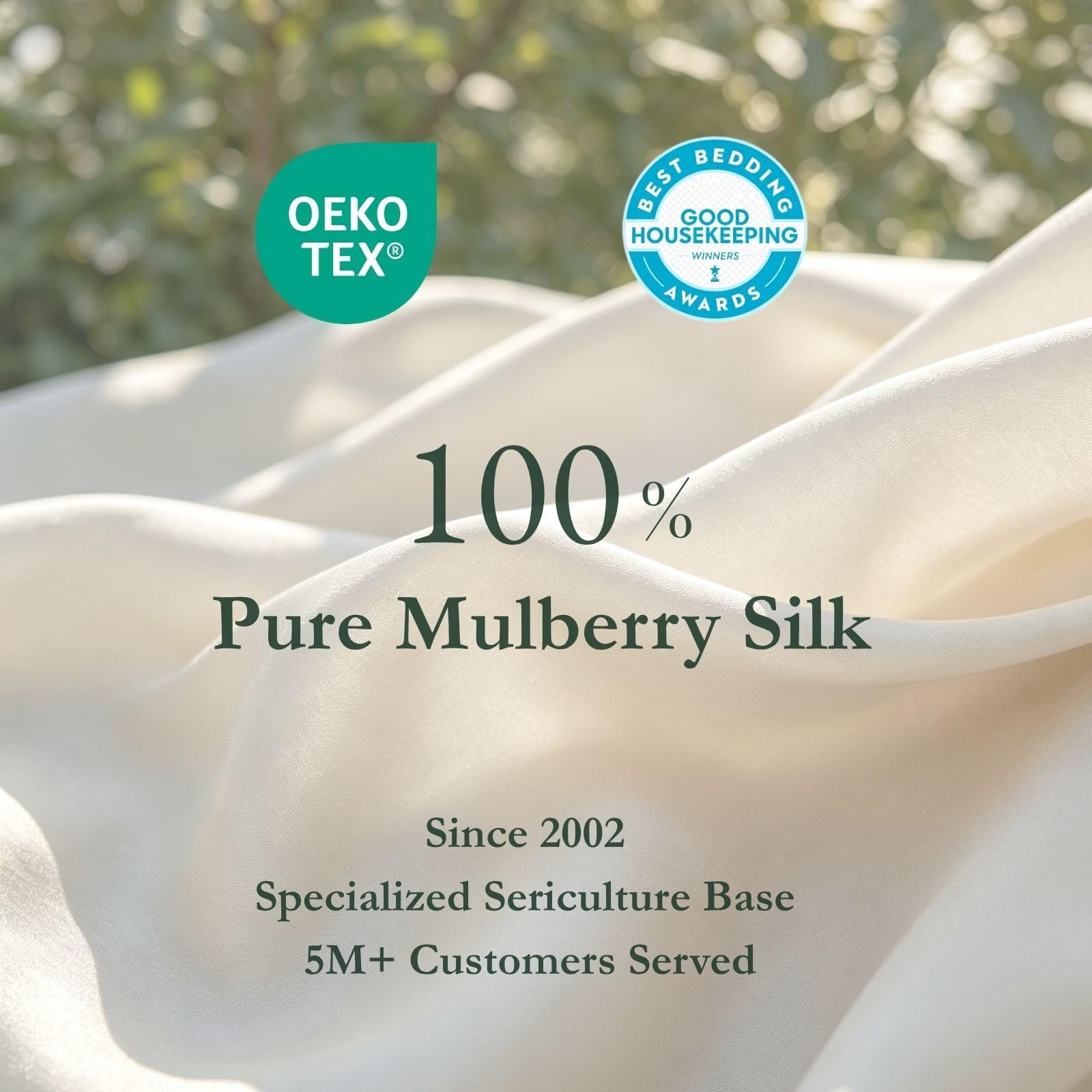 THXSILK 100% Mulberry Silk Queen Pillowcase, 2 Pack, Cool, Soft