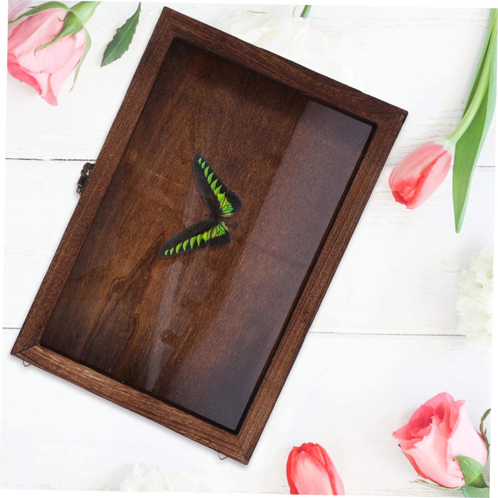 1563 金属工芸　蝶　飾物　6客 1563 金属工芸 蝶 飾物 6客