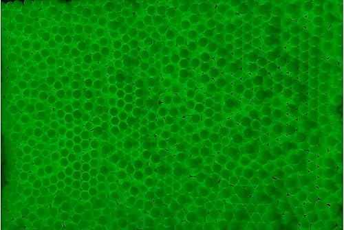 Miniatura 3 de Lancer Tactical Pro Series - Tracer Airsoft BBS 4000 RoundsX3 de 0.01oz