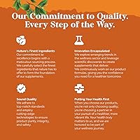 Vista 7 de Potentes gomitas de vitamina B6 para adultos, potentes suplementos de complejo de vitamina B para hombres y mujeres para apoyar el sistema nervioso