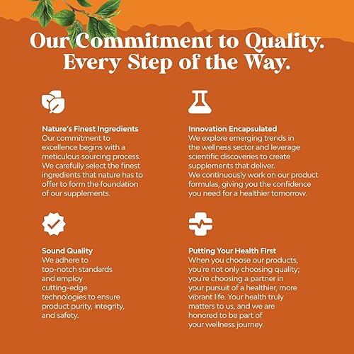 Miniatura 7 de Potentes gomitas de vitamina B6 para adultos, potentes suplementos de complejo de vitamina B para hombres y mujeres para apoyar el sistema nervioso,