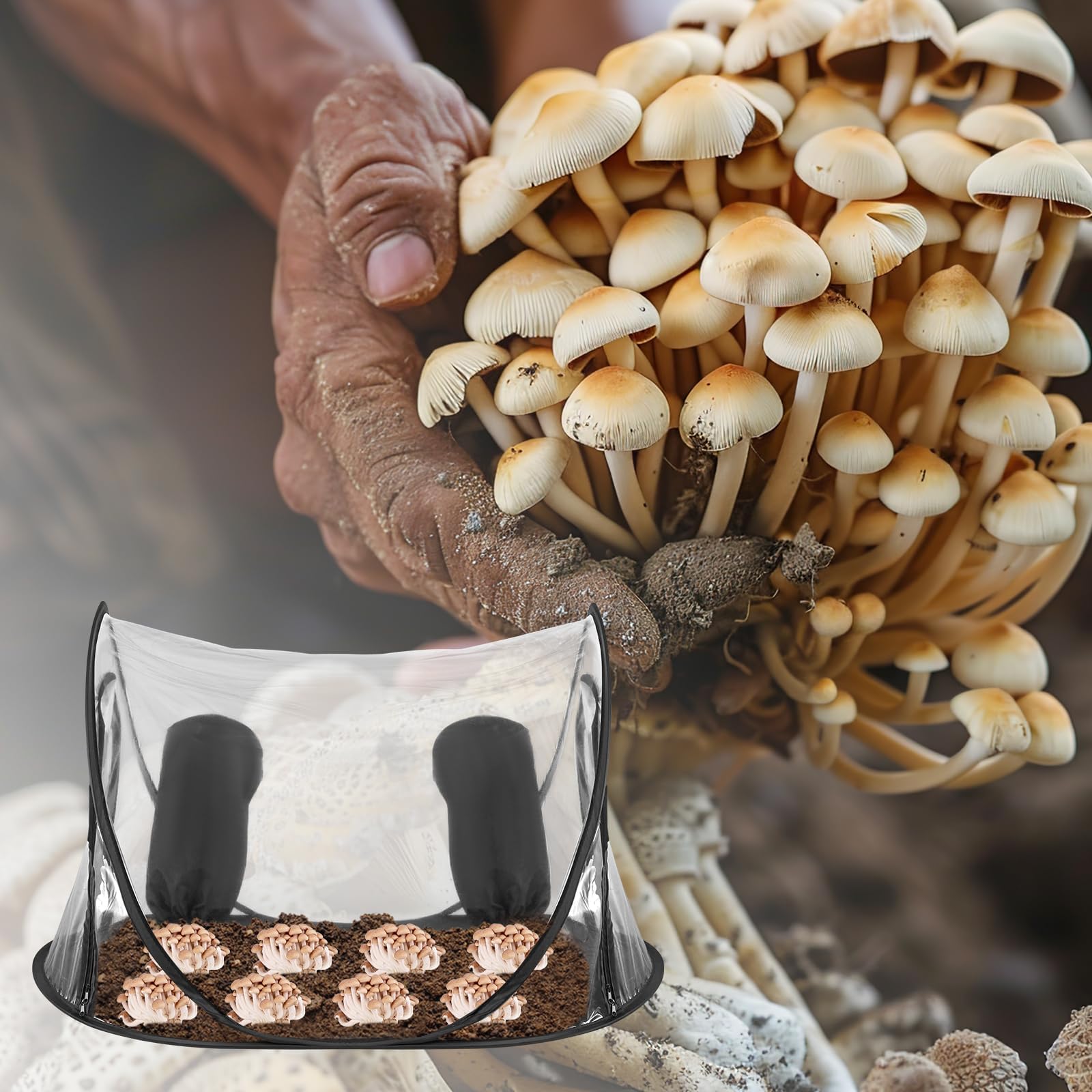 Tente de culture de champignons, kit de culture de champignons portable, tente de culture de champignons avec fermeture éclair et trou de bras, serre de culture étanche (style noir)