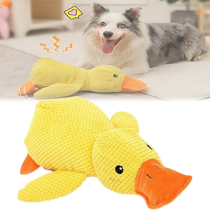 Pet Supplies : Noovelo Calming Duck Toy, Quaker Calming Duck Toy