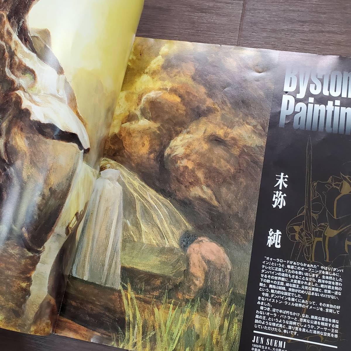 Amazon.co.jp: 0116-214□LD レーザーディスク 聖戦士