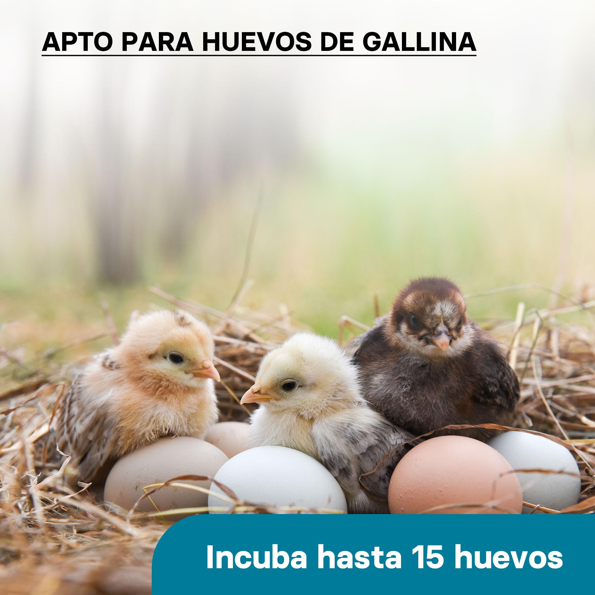 Incubadora automática capacidad para 15 huevos, Incubación Cría Aves de corral Pollos Patos Granja