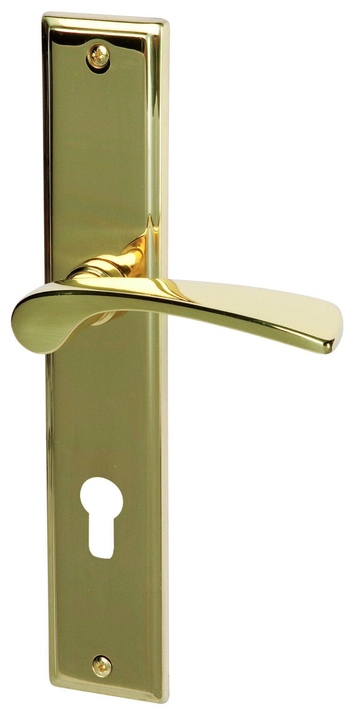 Poignée de porte laiton poli Alpertec Nelson-LS : résout le jeu des poignées d'appartement