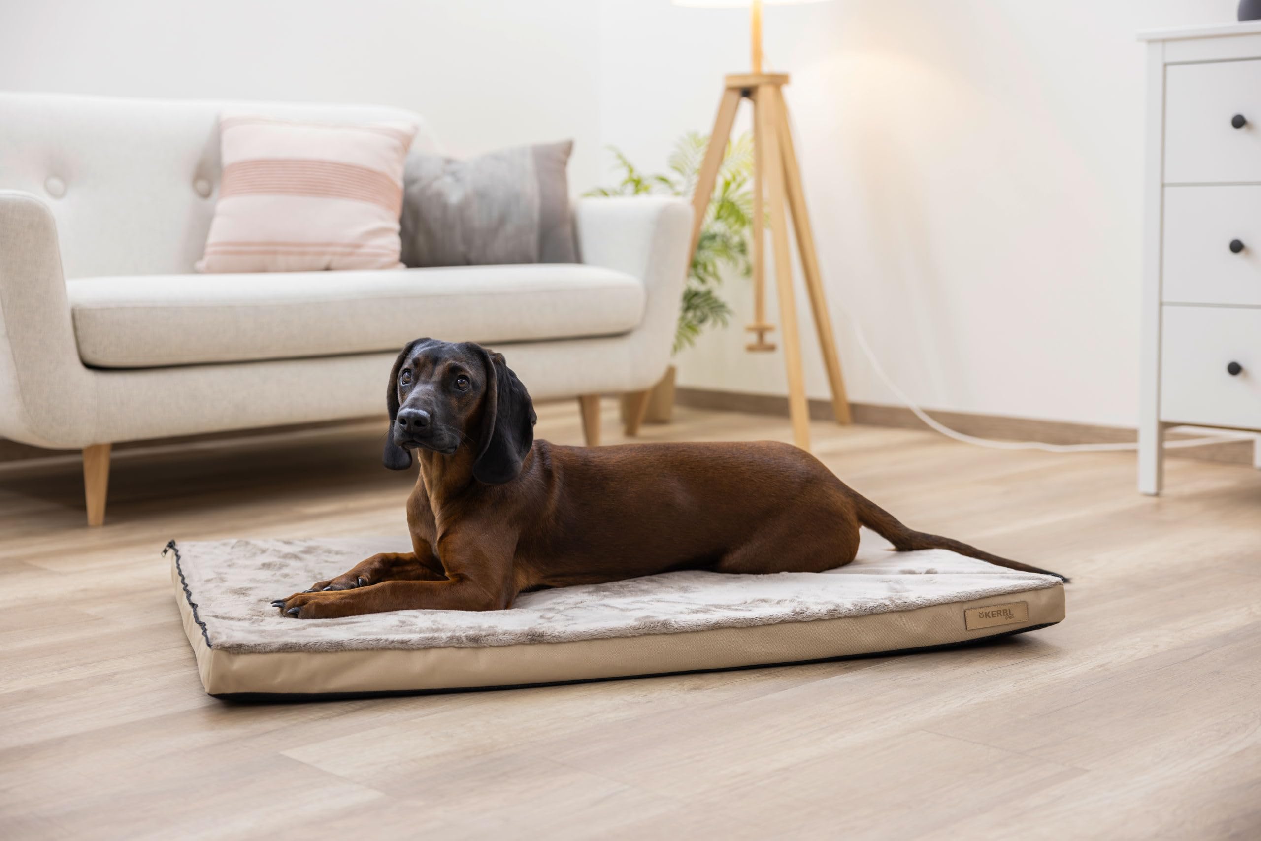 Kerbl Pet Colchón Multifuncional para Perros, Ortopédico, Almohadilla para incontinencia integrada, Espuma con Memoria, Funda Lavable, Beige|Marrón, 100x65x7 cm