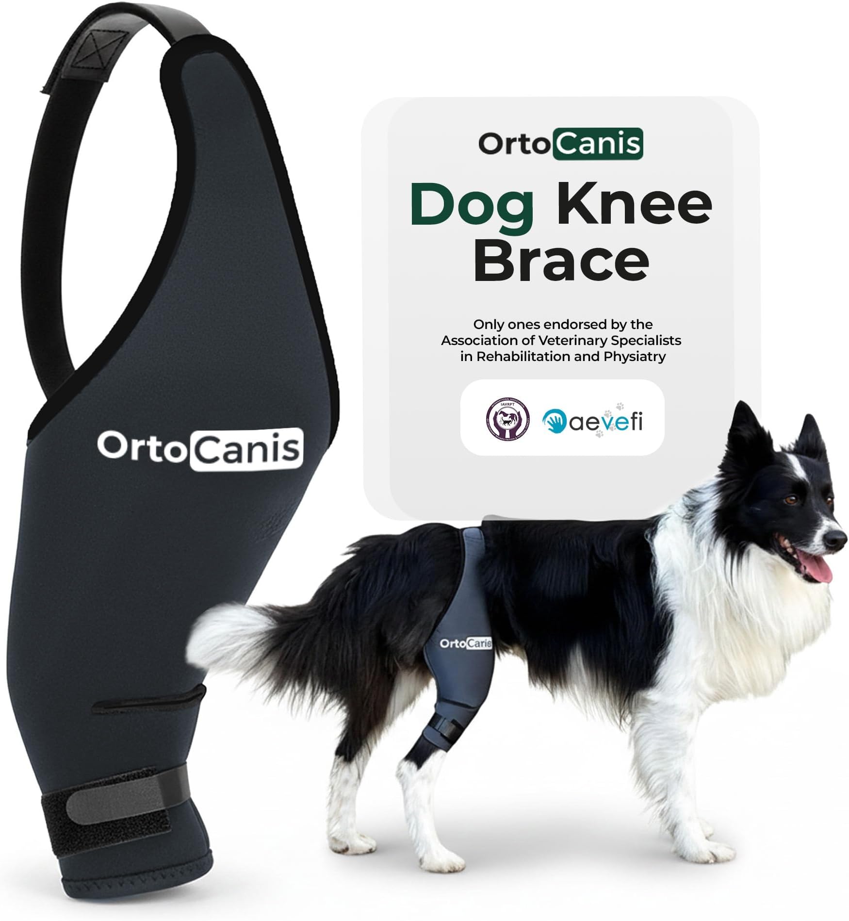 Dog Knee Brace for Hind Leg Support – Flexible Neoprene Knee Brace for Dogs with Joint Instability, Torn ACL, Limping or Osteoarthritis – Comfortable Support for Recovery (XL, Right Leg)