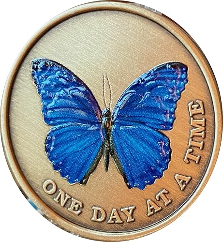 Miniatura 5 de Mariposa de color azul un día a la vez Medallón serenidad oración bronce chip, Bronce, No es una piedra preciosa