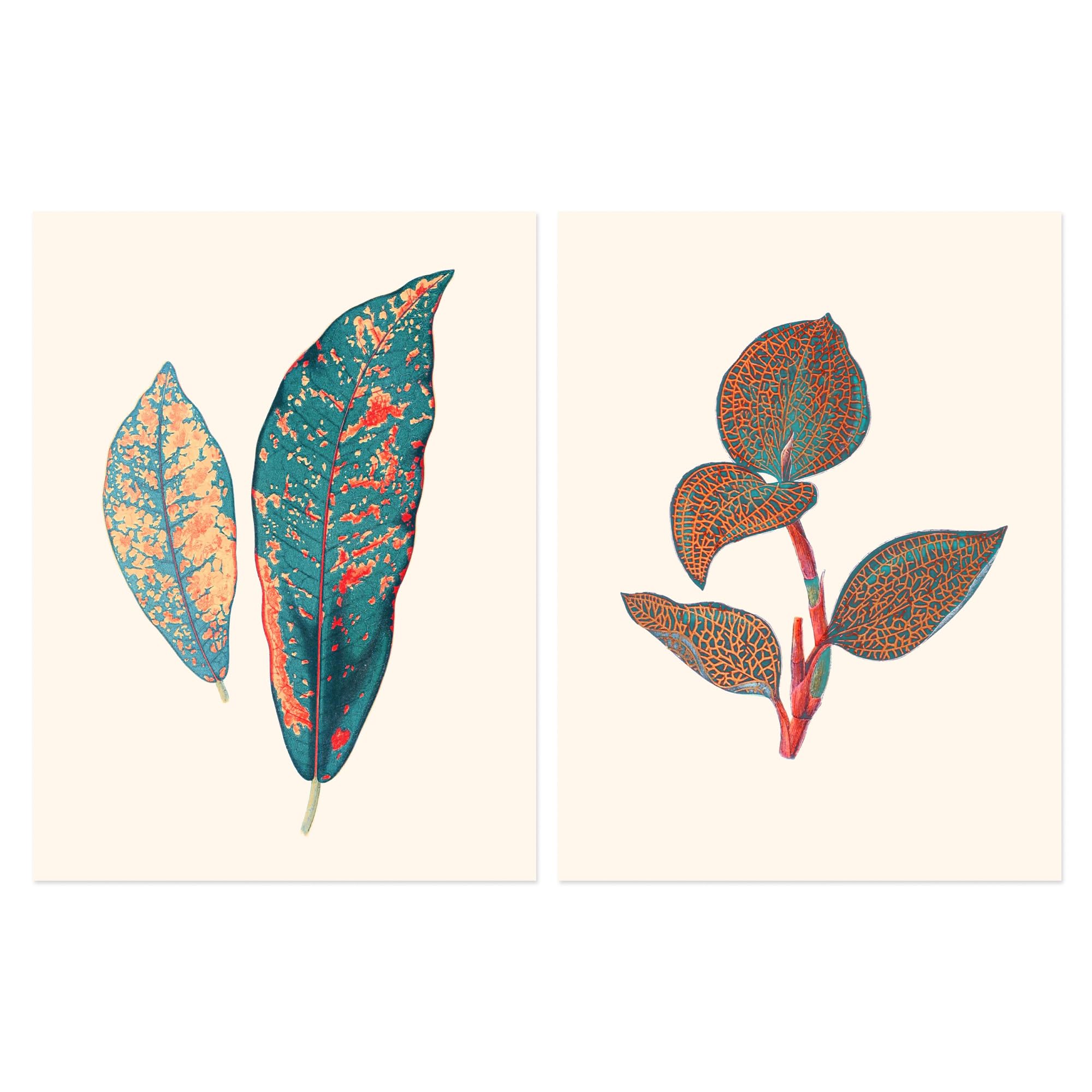 B&Q -  Wall Art Print Set Of 2 Vintage Botanical Fauna Coral Pink And Teal Blue Detailed Plant Leaves Wall Art