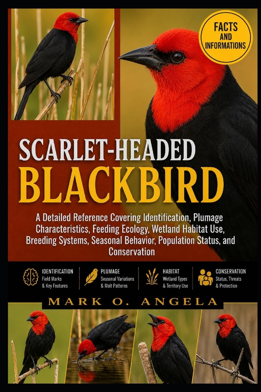 SCARLET-HEADED BLACKBIRD: A Detailed Reference Covering Identification, Plumage Characteristics, Feeding Ecology, Wetland Habitat Use, Breeding ... Behavior, Population Status, and Conservation